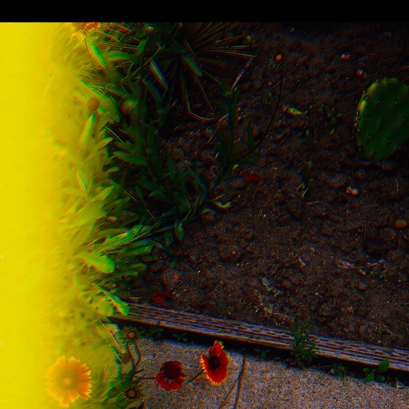 Lovely Star * Photography Art Print - Picture 4 of 5